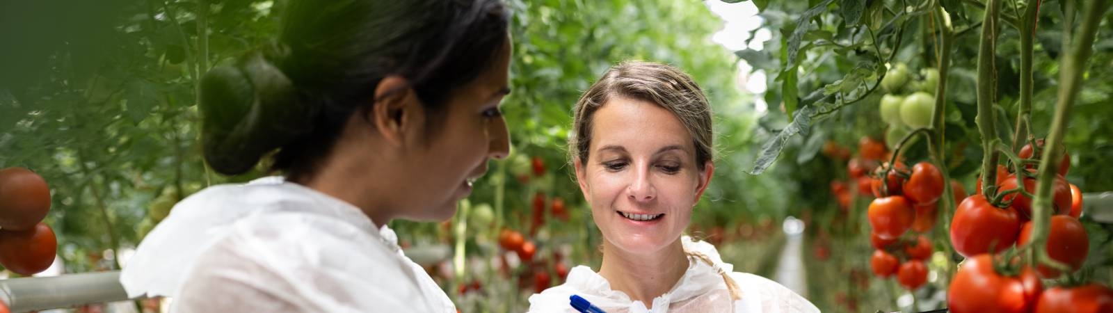 our sustainability reporting